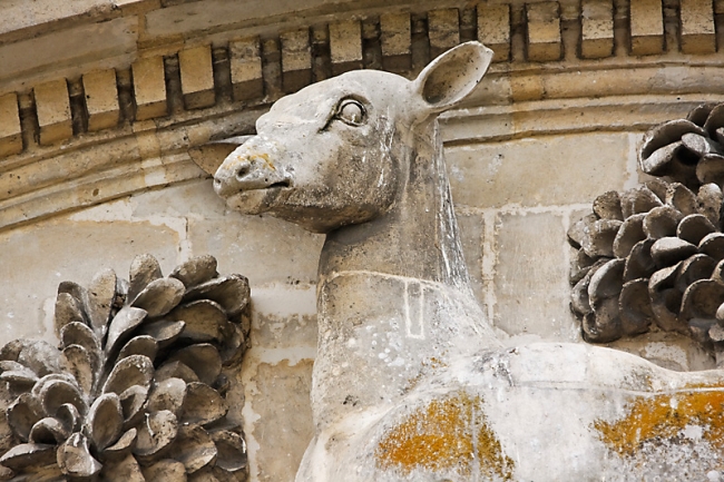 Chateau de Raray-042